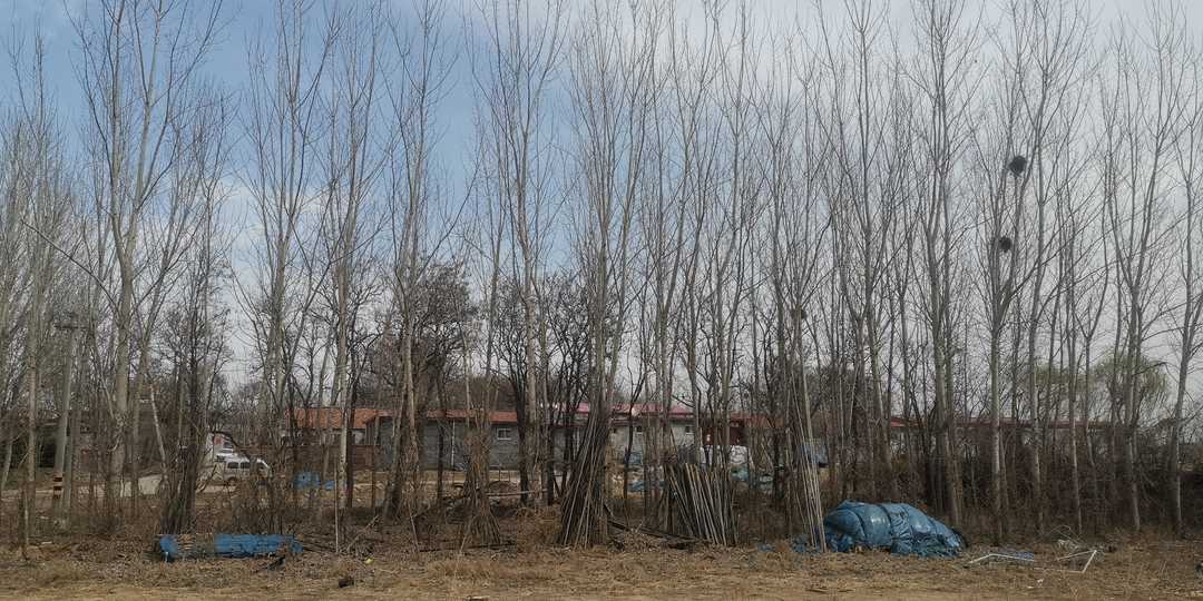 全职写手年入千万，揭秘写手的真实生活